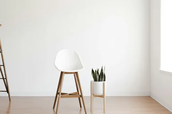 A wooden step ladder, stool and plant in a freshly painted room.
